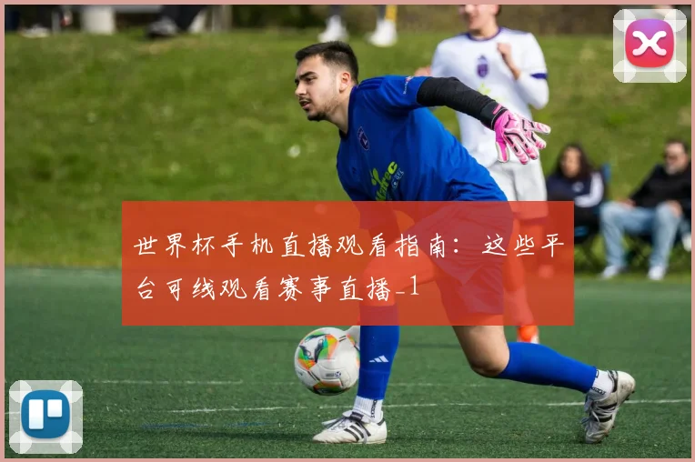 世界杯手机直播观看指南：这些平台可线观看赛事直播_1