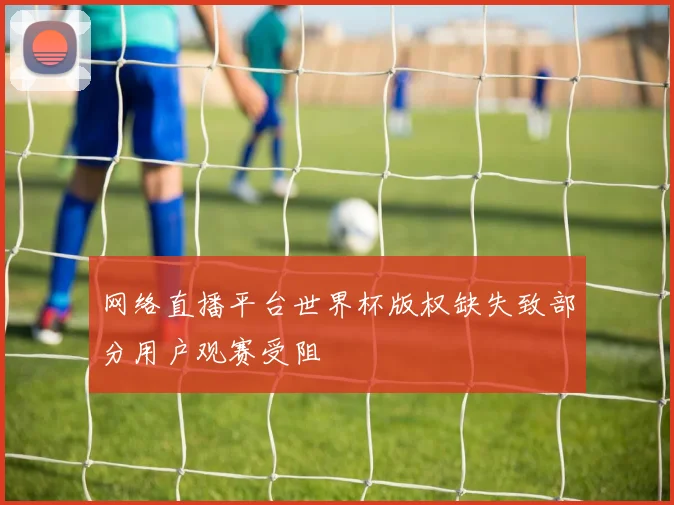 网络直播平台世界杯版权缺失致部分用户观赛受阻
