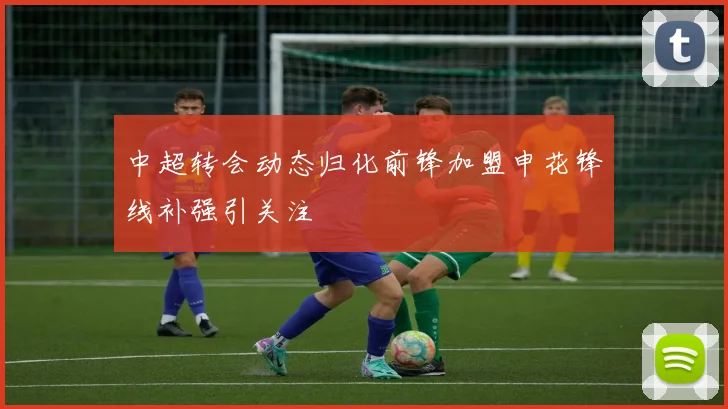 中超转会动态归化前锋加盟申花锋线补强引关注