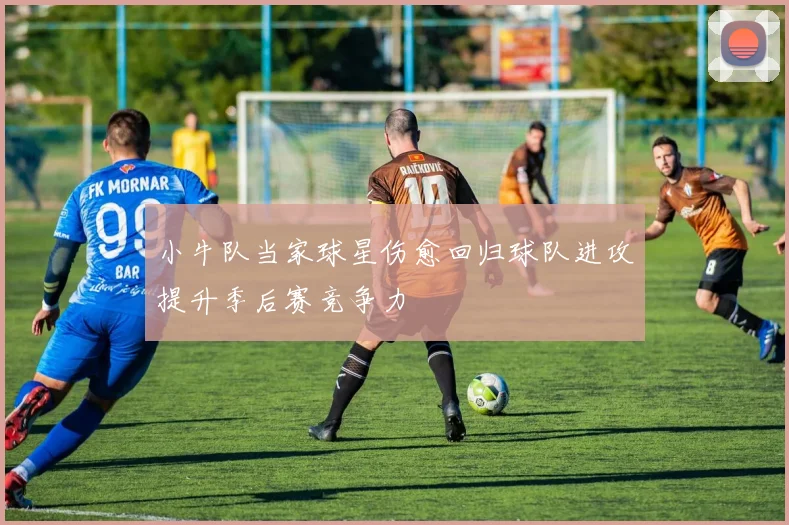 小牛队当家球星伤愈回归球队进攻提升季后赛竞争力