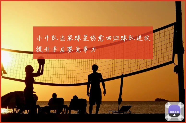 小牛队当家球星伤愈回归球队进攻提升季后赛竞争力